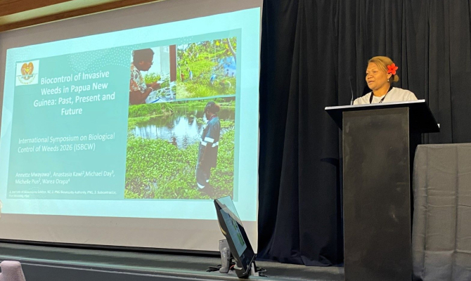 Strengthening Island Resilience Through Biocontrol of Weeds