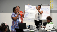 Empowering Pacific Narratives: Symposium strengthens inclusive storytelling for invasive species